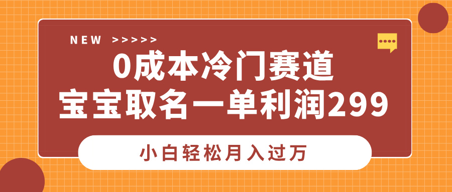 0成本冷门赛道，宝宝取名一单利润299，小白轻松月入过万-鑫道网创圈